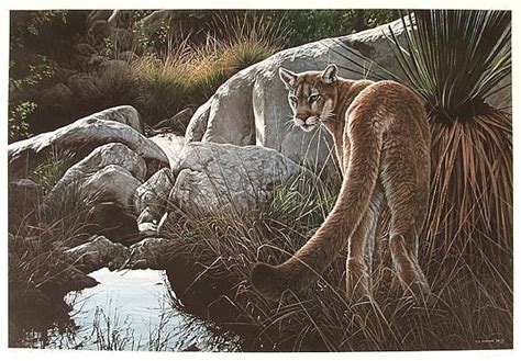 Greatbigcanvas.com has been visited by 10k+ users in the past month Ron Parker Artwork for Sale at Online Auction | Ron Parker ...