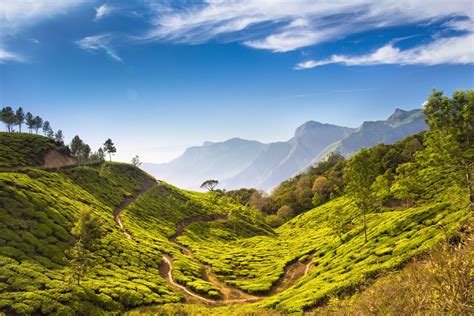 16 Top Tourist Places in Kerala That You Must Visit