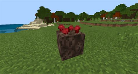Better Nether Wart For Minecraft Pocket Edition 116