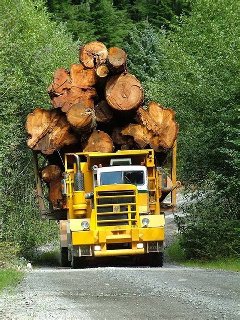 Kenworth Off Highway Logging Trucks Heavy Equipment World