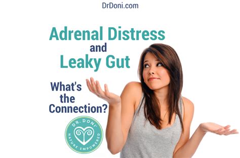 Adrenal Distress And Leaky Gut Whats The Connection Doctor Doni