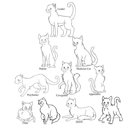 Warrior Cat Drawing Outline