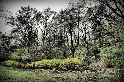 Early Spring In Fort Tryon Park Photograph By Sarah Loft Fine Art America