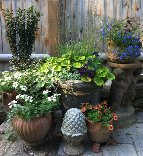 Courtyard And Container Garden Terrascapes
