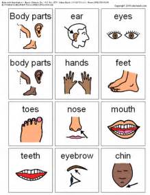 Here is a list of some other parts of the body that have not been included above. Flashcards: Body Parts | Teaching Resources