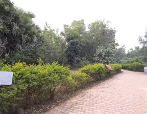 Sunukpahari Park Eco Park Sunukpahari In Bankura Bankura West Bengal