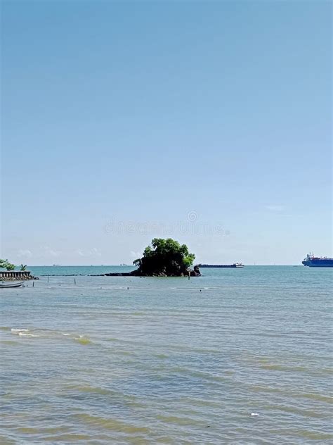 This Is A Pig Island Next To The Port Of Semayang Balikpapan
