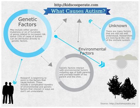 What Causes Autism Infographic — Kids Cooperate