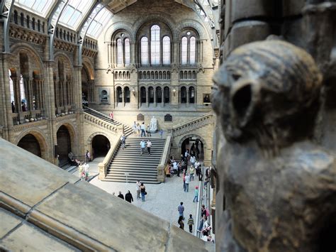 Travelmarx A Visit To The British Natural History Museum