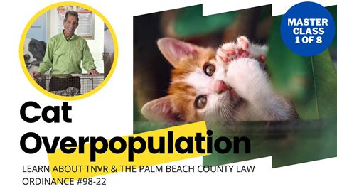 Tnvr Cat Overpopulation Youtube