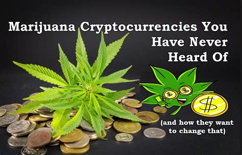 Cryptocurrency And Cannabis The Great Disruptors