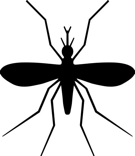 Svg Animal Flies Insect Pest Free Svg Image And Icon Svg Silh