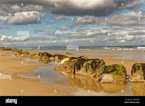 Findhorn Beach Moray Coast Scotland Rocks With Seaweed At Low Tide The