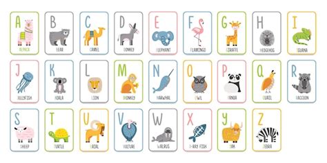 Flashcards Del Alfabeto Con Animales Para El Aprendizaje Preescolar