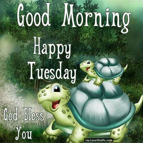 Good Morning Happy Tuesday God Bless You Quote Pictures Photos And