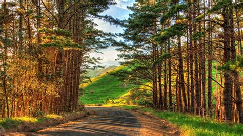 Natural Places And Road Hd Wallpaper