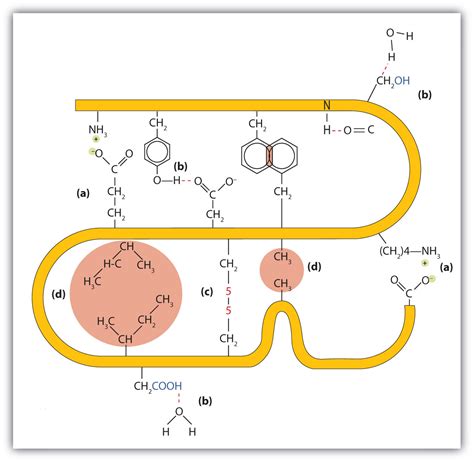 Maybe you would like to learn more about one of these? Proteins