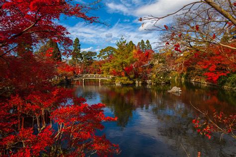 Updated 6 Magical Spots To See Spectacular Autumn Leaves In Japan