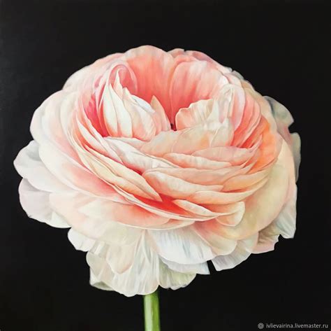 Oil painting with Ranunculus Style 90 90 cm купить на Ярмарке