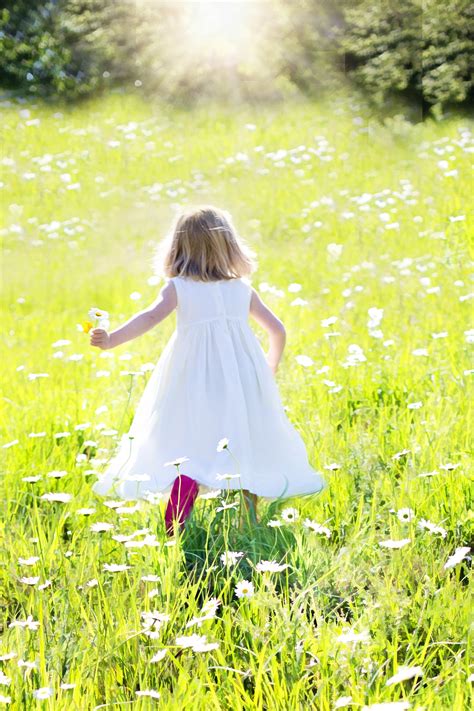 무료 이미지 자연 잔디 들 목초지 햇빛 꽃 여름 녹색 가을 어린이 노랑 어린 시절 맑은 드레스 행복
