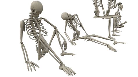 Artstation Skeleton Sitting Poses Low Poly 3d Model Resources