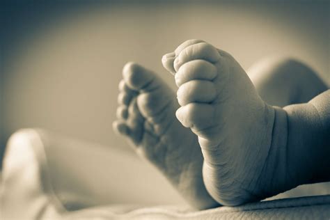 508421 Baby Baby Feet Black And White Child Feed Life Newborn