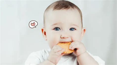 10 Rekomendasi Biskuit Bayi Untuk Si Kecil Pasti Suka Page All Orami