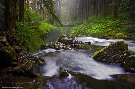 Sol Duc Falls Olympic National Park Washington State — 544583
