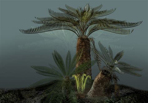 Dinosaurs Of Denali Cretaceous Cycads By Karen Carr For Murie Science
