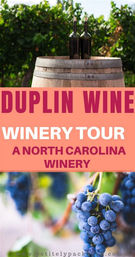 Travel Day Trip To Duplin Winery Petitely Packaged North Carolina