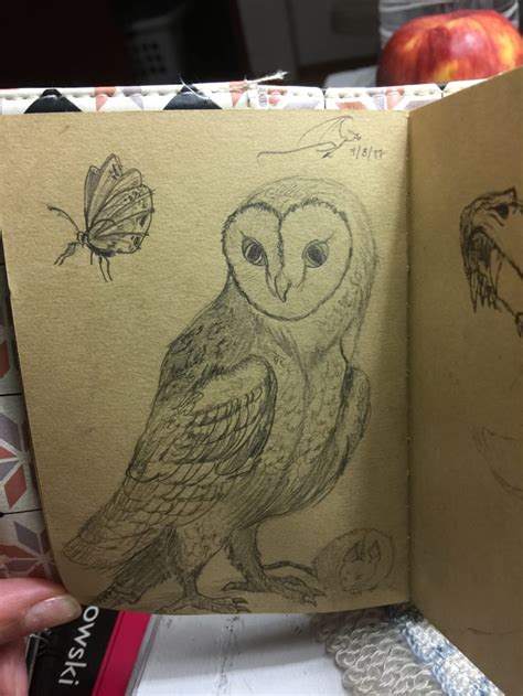Dibujos a Lápiz. Animales | Domestika