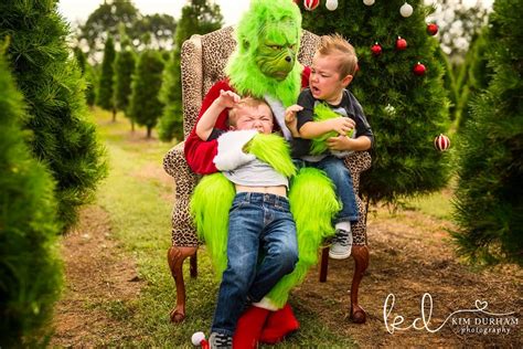Photographer Stages Grinch Themed Photo Shoot Popsugar