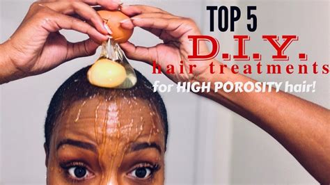 Top 5 Diy Treatments For High Porosity To Moisturize Dry Hair Nia