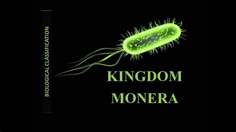 Kingdom Monera - YouTube