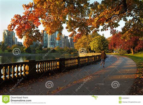 Morning Jog Stanley Park Vancouver Stock Image Image Of Activity