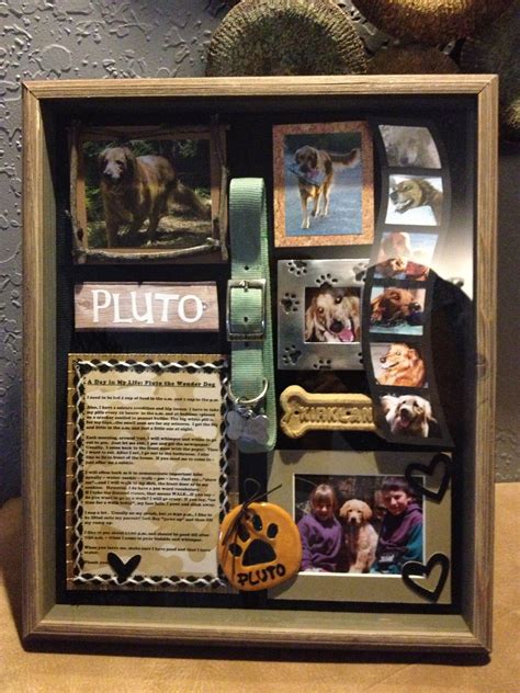 Best Shadow Box Ideas Pictures Decor And Remodel Dog Shadow Box