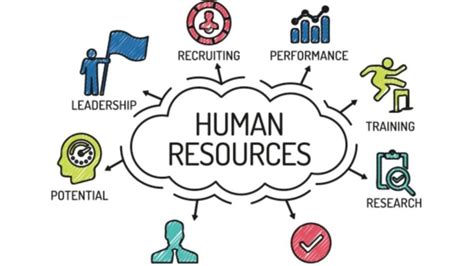 Academic And Career Options In Human Resource Management - KNOWLEDGE Lands