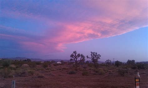 Desert Sky Joshua Tree Desert Bonito Night Hd Wallpaper Peakpx