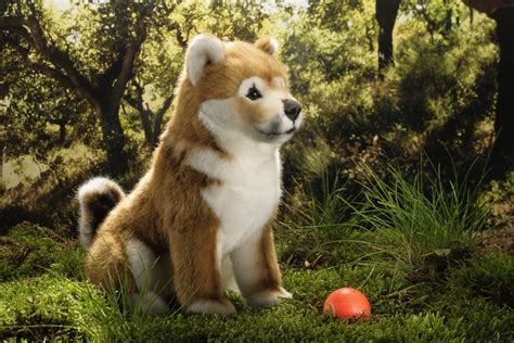 169 likes · 6 talking about this · 722 were here. Shiba-Inu Welpe | Kösener Spielzeug Manufaktur GmbH