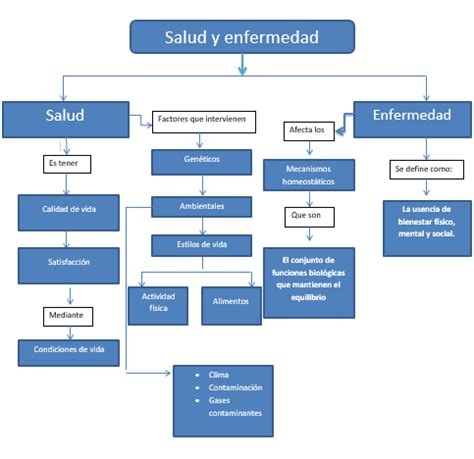 Desarrollo Fisico Y Salud Antonio De Jesus Mapa Conceptual De Salud Y