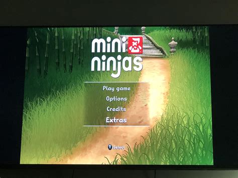 Mini Ninjas Fuzzy Graphics And Aspect Ratio Rps3