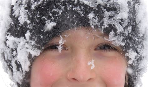 Snow Flake Face Smithsonian Photo Contest Smithsonian Magazine