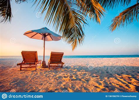 Dream Scene Beautiful Beach Sunset Palm Tree Over White