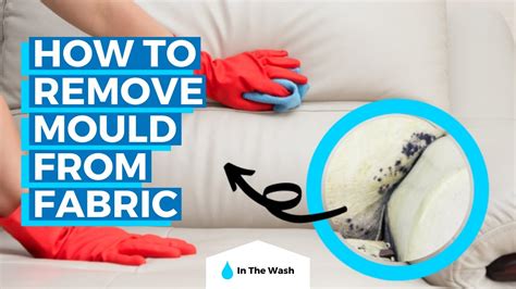 How To Remove Mould From Fabric Youtube