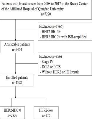 Frontiers Clinicopathological Characteristics And Prognosis Of Early Stage HER Low Expression