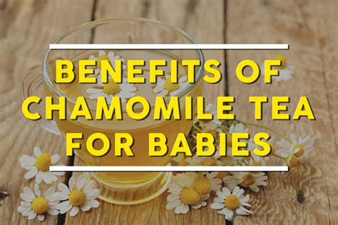 If you do not have a hydrosol, you can make a cup of chamomile tea and mix it with baby bath water. What Are The Benefits of Chamomile Tea For Babies ...