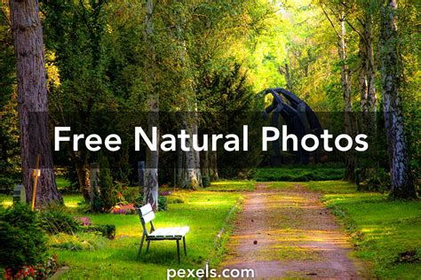 1000 Beautiful Natural Photos Pexels · Free Stock Photos