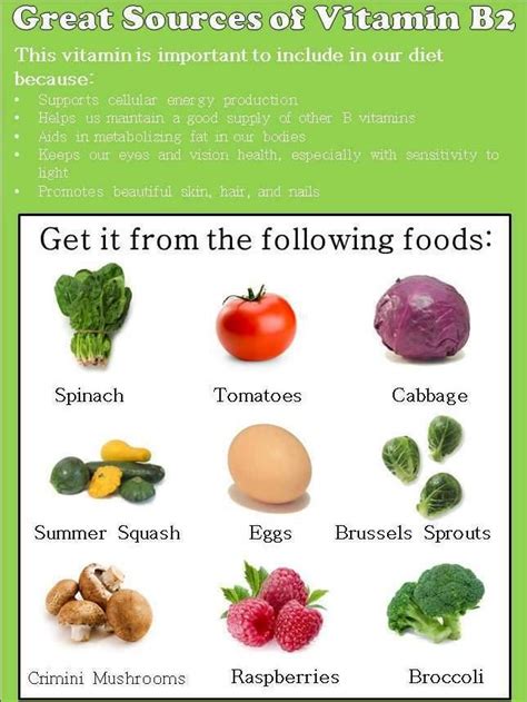 B12 Foods Vegetarian ~ Top Vitamin B12 Foods For Vegetarians Femina In