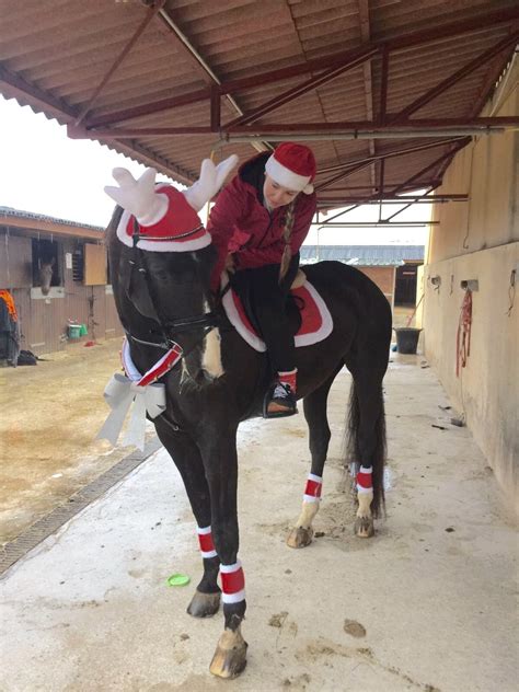 #concurso #fotos #navidad #caballos tienda #hipica #equitacion #