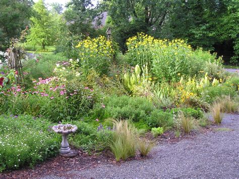 Celebrate and remember the lives we have lost in matthews, north carolina. Carol's Greenville NC Garden: Sunshine in the Rain